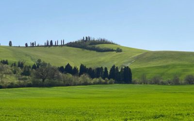 Romagna in Fiore
