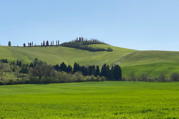 Romagna in Fiore